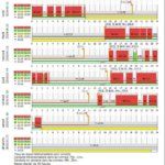 Logiciels tachygraphe - tachospeed - analogiques_4