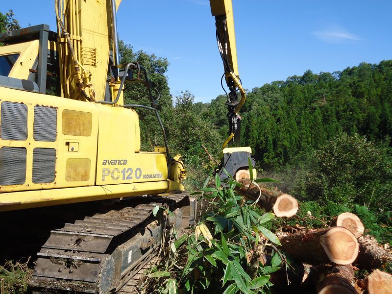 AFM 1000 S - Tête d'abattage multifonctionnelle - AFM Forest - Ouverture max. couteaux 450 mm_4