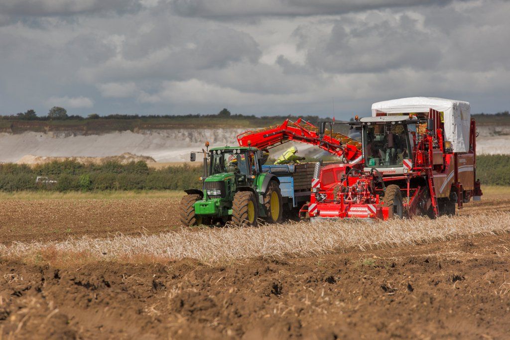 Récolteuse automotrice Varitron 220 Platinum Terra Trac - 2 rangs - Grimme France - vitesse jusqu'à 25 km/h - moteur 160/354 kW/CV_4