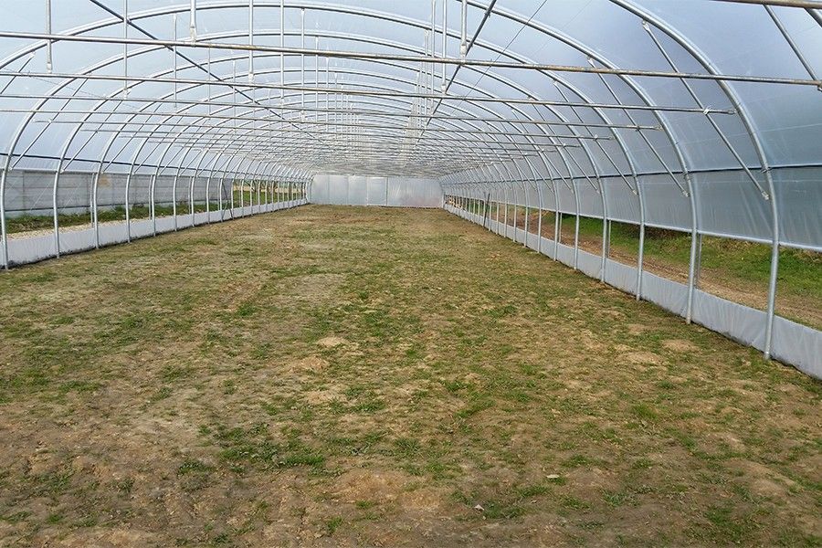 Serre tunnel 9.60 m avec pieds amarres à frapper