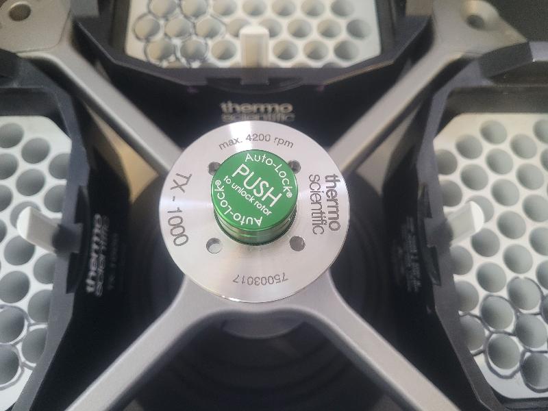 Centrifugeuse réfrigérée THERMO FISHER SCIENTIFIC Megafuge ST4RF Plus avec rotor TX-1000_4