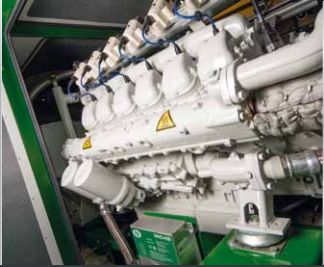 Patruus - Groupe électrogène industriel 50 à 64 kW - 2G Énergie SAS - Technologie robuste et modulaire_4