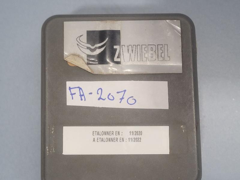 Poids d'étalonnage ZWIEBEL 100g classe M1 INOX_4