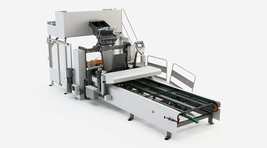 Mach 2 - Machine pour palettes - Ligne de clouage automatique - 2 entrées simples et réversibles_4