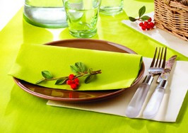 SERVIETTES non tissees 1plis TANGO 40x40 paquet de 60_4