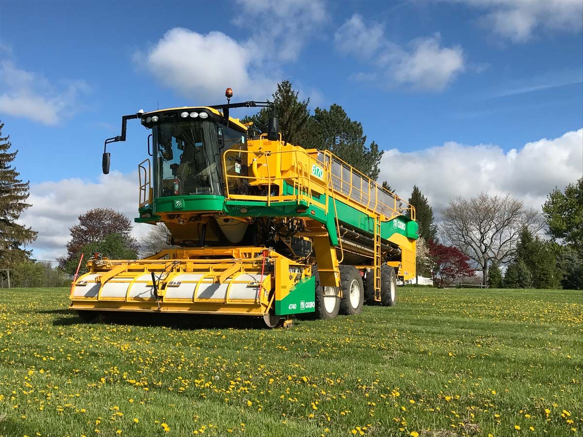 Arracheuse Oxbo 6170 - OxboCorp - trémie 2270 kg - moteur 450 HP - récolte pois, haricots lima et Garbanzo_4