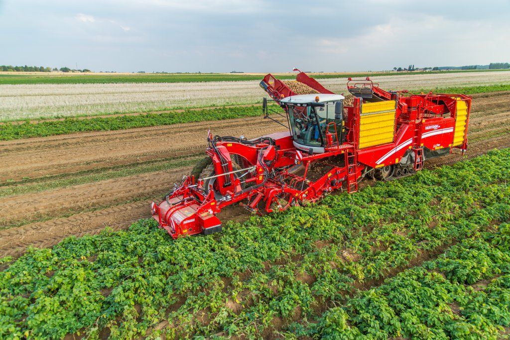 Récolteuse de pommes de terre avec cabine confortable et commande ErgoDrive