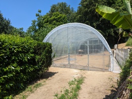 Serre de jardin modèle tubulaire à porte battante ou coulissante_4