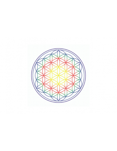 Verre à onde de forme et fleur de vie - sans plomb - Verre revitalisant en borosilicate_4