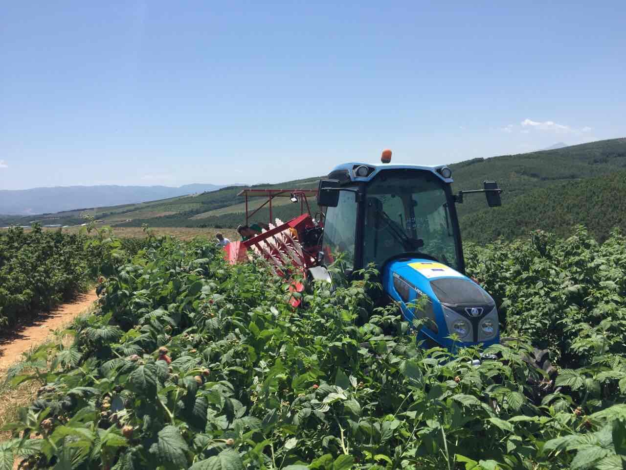 Récolteuse à framboises NATALKA - WEREMCZUK - productivité 0.1 à 0.15 ha/h - puissance minimale requise 35 HP_4