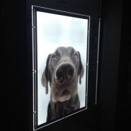 Porte-affiche grands formats LED - Finition de prestige avec formats A2, A1 et A0_4