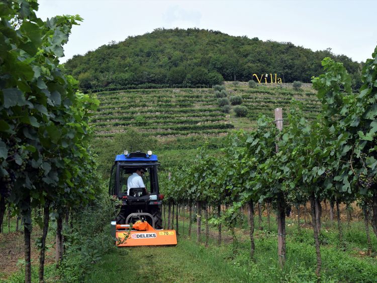 Lynx-sp120 broyeur forestier - deleks - largeur de travail 1200 mm_4