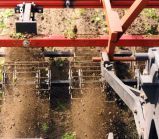 Bineuse à cage - k.U.L.T.-kress - vitesse de travail 3 - 12 km/h_4