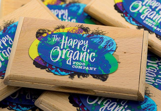 Imprimante UV Roland LEF2-300_4