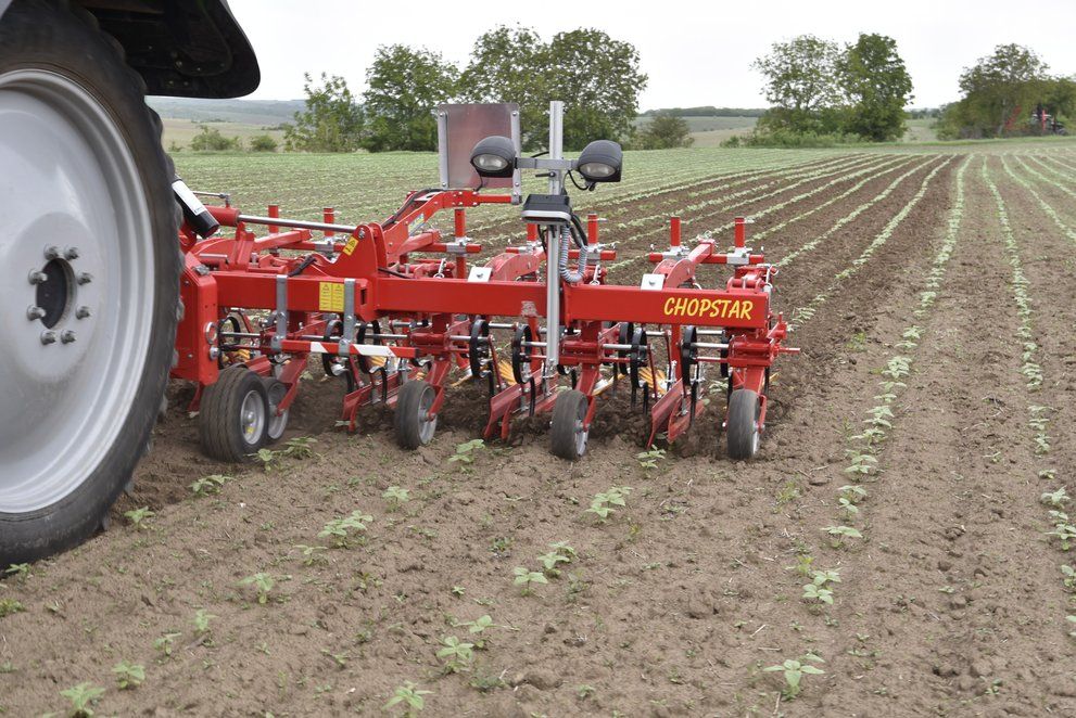 Chopstar 5-90 - Bineuse agricole Einböck pour inter-rangs jusqu'à 90 cm avec dents vibro_4