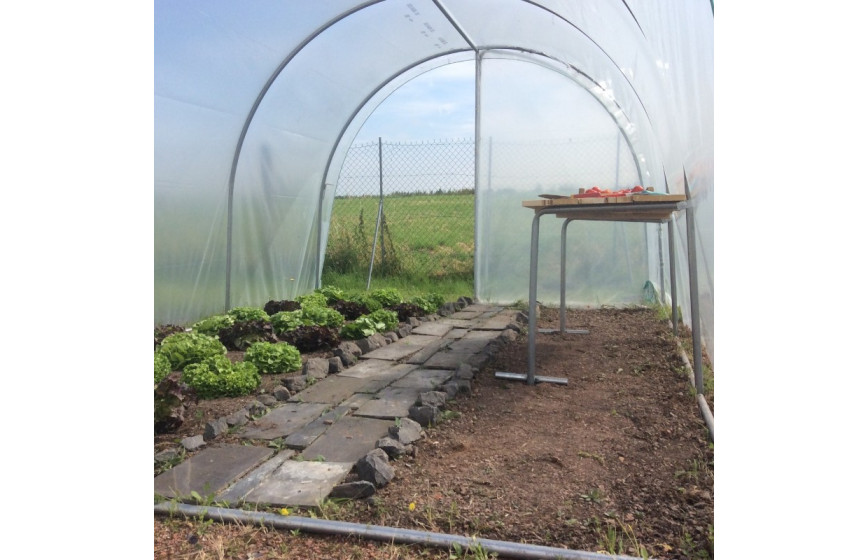 Serre de jardin simple, fonctionnelle et pratique pour tous les jardins en gardant une hauteur conséquente- ESSENTIELLE_4