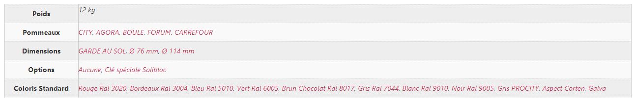 Potelets rabattables Solibloc - Equip Avenue - Tube acier épaisseur 3 mm, Ø 76 ou 114 mm - Pommeaux décoratifs au choix_4