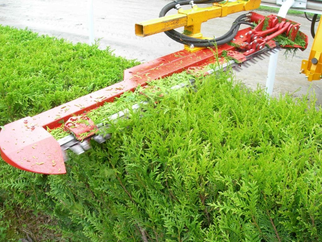Taille-haie avec patins de guidage et entretien minimal