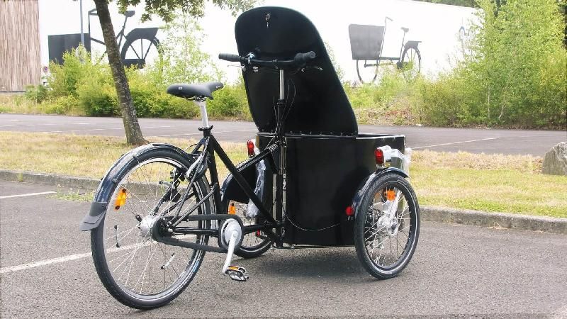 Triporteur Nihola Cargo Single - Musculaire - Volume 180L - Charge 100kg_4