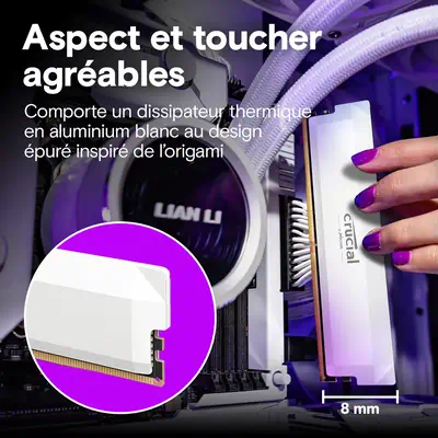 Crucial Pro CP2K32G64C40U5W module de mémoire 64 Go 2 x 32 Go DDR5_4