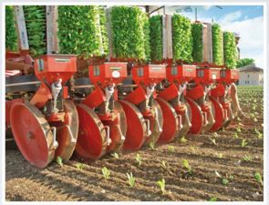 Unitrium 45 - Planteuse Checchi & Magli - Distance entre les rangs 45 cm - Semi-automatique pour plants à motte conique et pyramidale_4