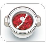 Ig500131 - Sorbetière professionnelle Seb - 6W - Glaces, sorbets et yaourts glacés_4