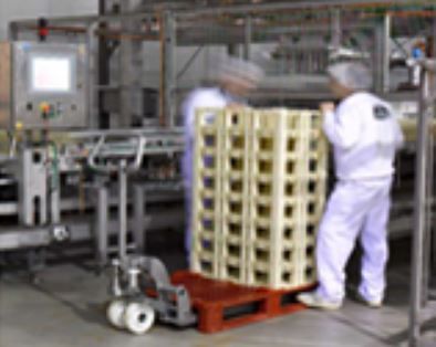 Transpalette en acier inoxydable avec maintenance réduite