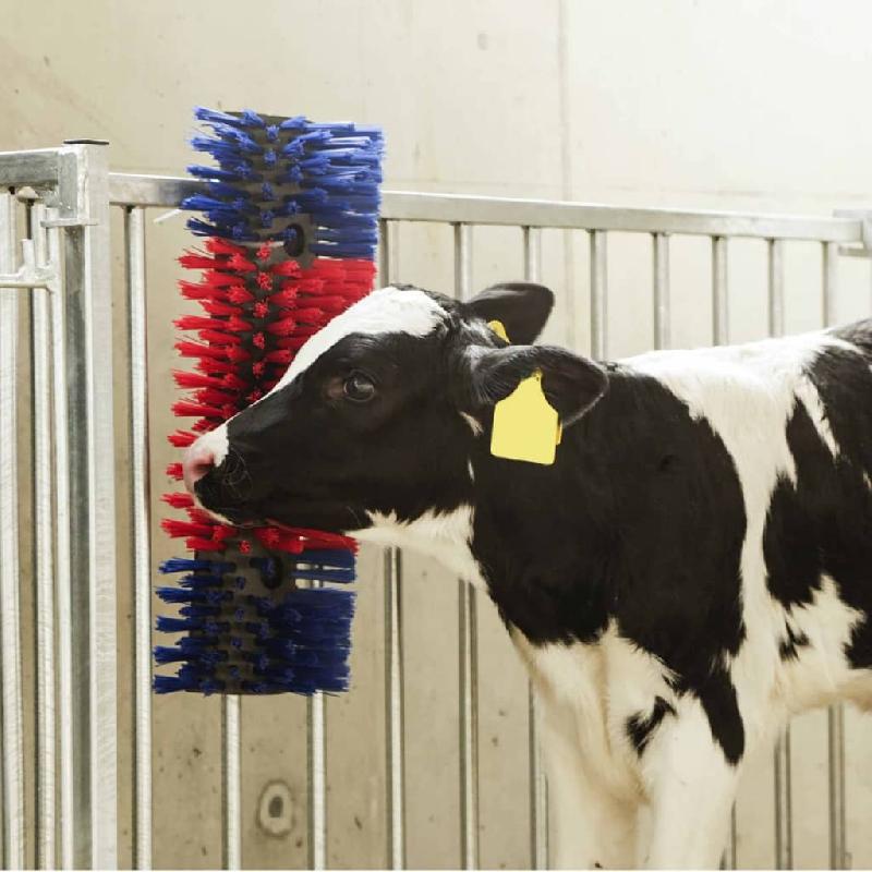 Kerbl brosse à gratter pour bétail 50 cm 293100 423473_4