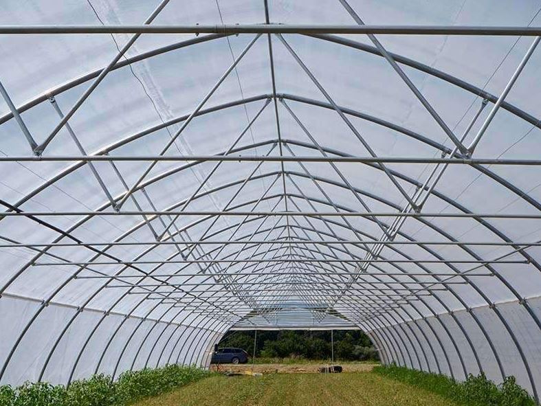 Serre à travée unique  idéale pour les agriculteurs et les amateurs - Tunnelart_4