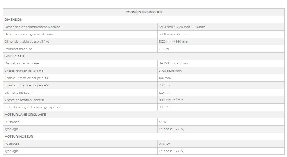 Sx pro 3200 - Scie à format professionnelle - DM Italia SRL - 795 kg - DMSX32T_4