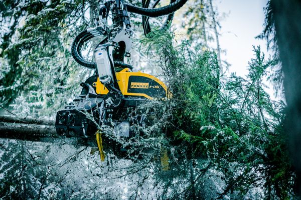 H5 - tête d'abattage Ponsse SA - poids minimum 900 kg - productivité élevée et éclaircissage efficace_4