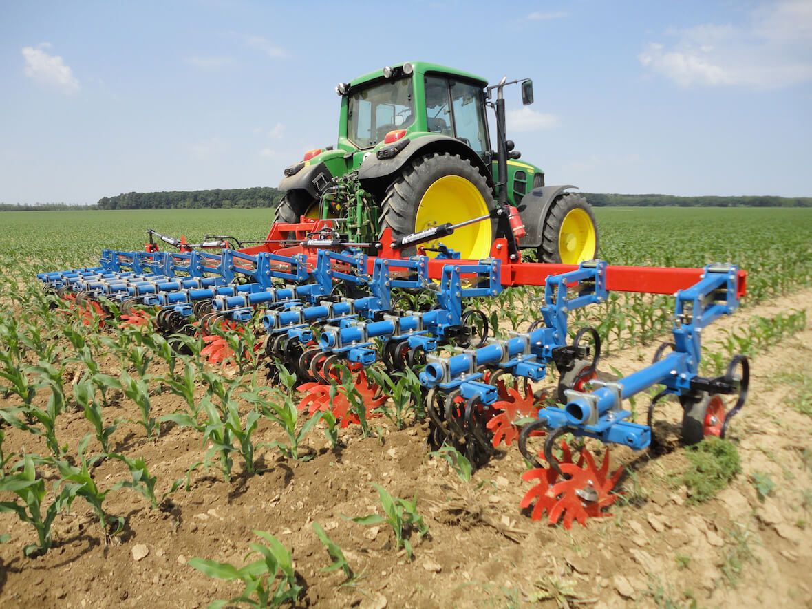Bineuse à étoiles - Thomas Hatzenbichler Agro-Technik - Parallélogramme robuste à large roue Farmflex - Réglage polyvalent et adapté aux cultures en lignes_4