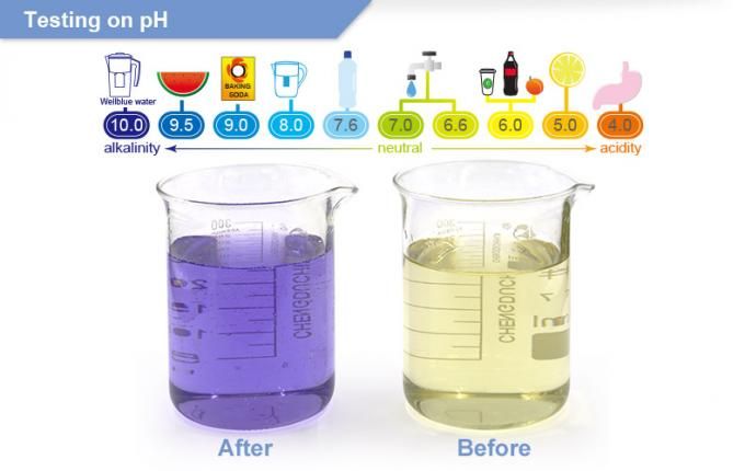 L-PF602 - Cartouches filtrantes d'eau alcaline - WellBlue - 300L - 3 paquets de rechange_4