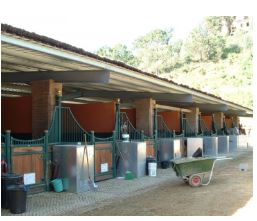 Bâtiment en métal pour centre sportif et salle omnisport - structures métalliques et bardages - Cualimetal_4