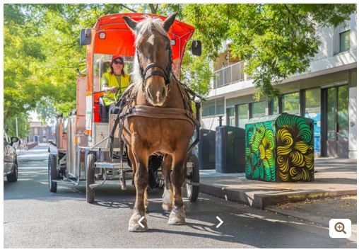 Gamme athéna - cache-conteneurs et abris poubelle - viva cite - en métal_4