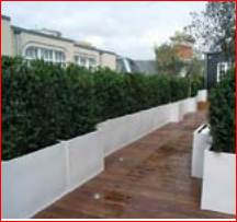 Jardinière en fibre de verre avec possibilité de finition polie et brillante