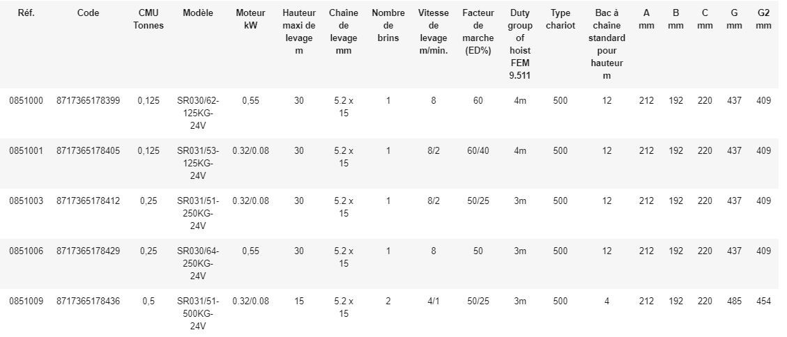 Palan électrique à chaîne REMA série SR - 3 m de levée - haute performance et sécurité - Rema Holland B.V._4