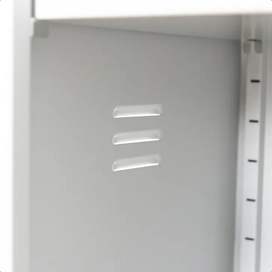 Armoire de sécurité pour le stockage de produits dangereux - Haute - 1 porte - Trionyx - Ref AL155_4