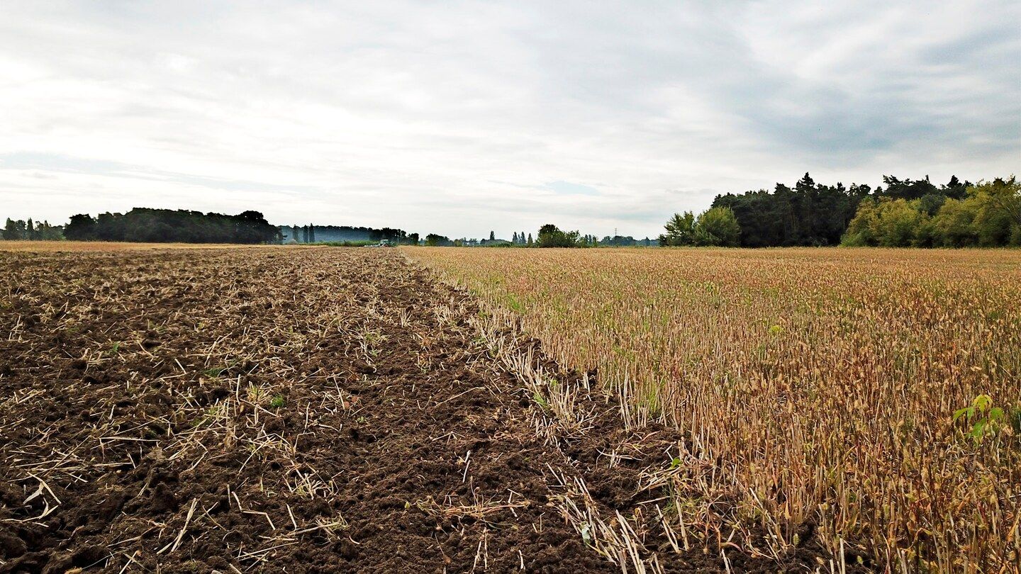 Fantom ns - cultivateur agricole - farmet a.S - largeur de travail 3000 à 4700 mm_4