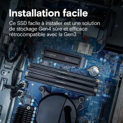 Crucial P310 2 To M.2 PCI Express 4.0 NVMe_4