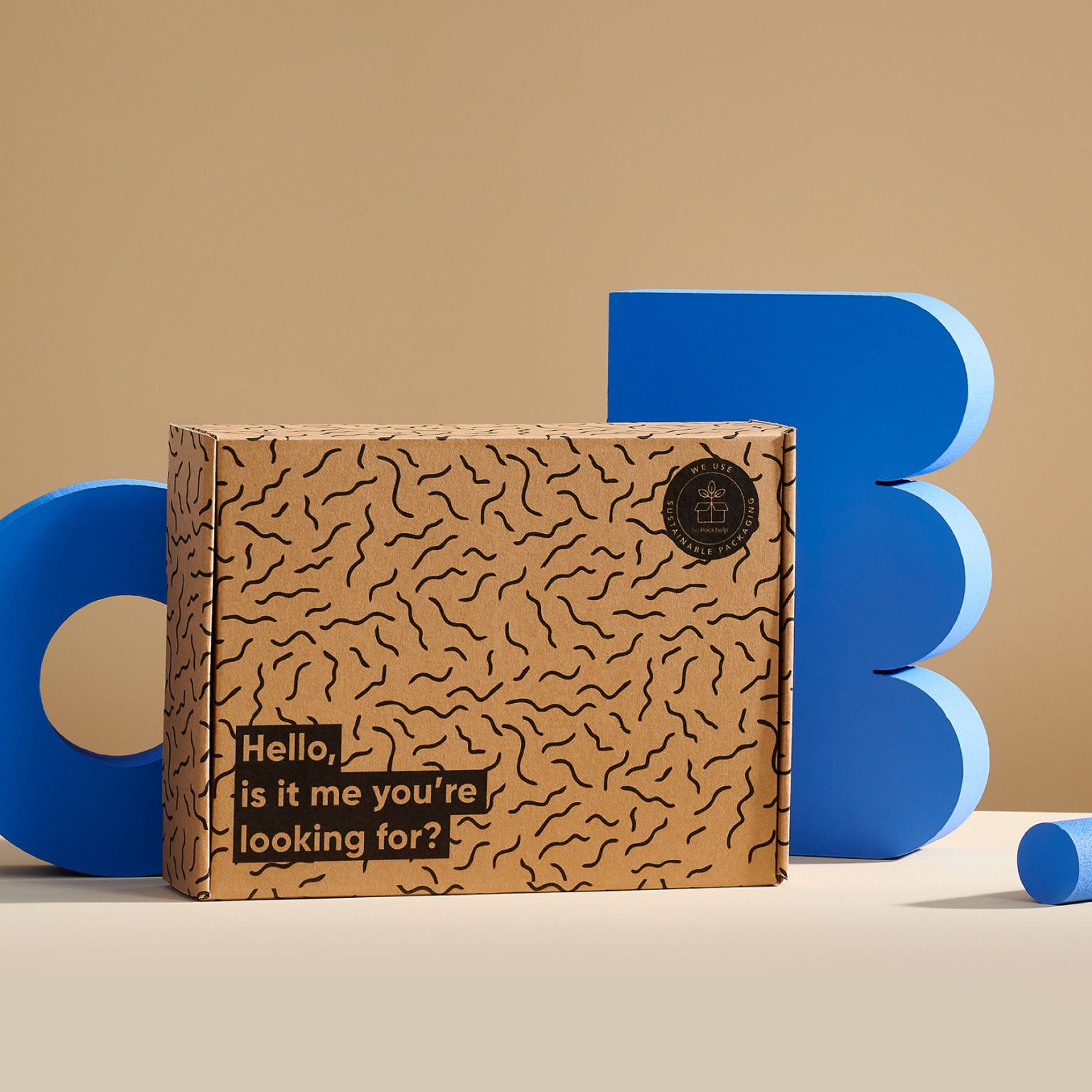Boîte d’expédition éco pré-imprimée - Packhelp SA - 24.9 x 19 x 5.5 cm - carton kraft recyclable et écologique_4