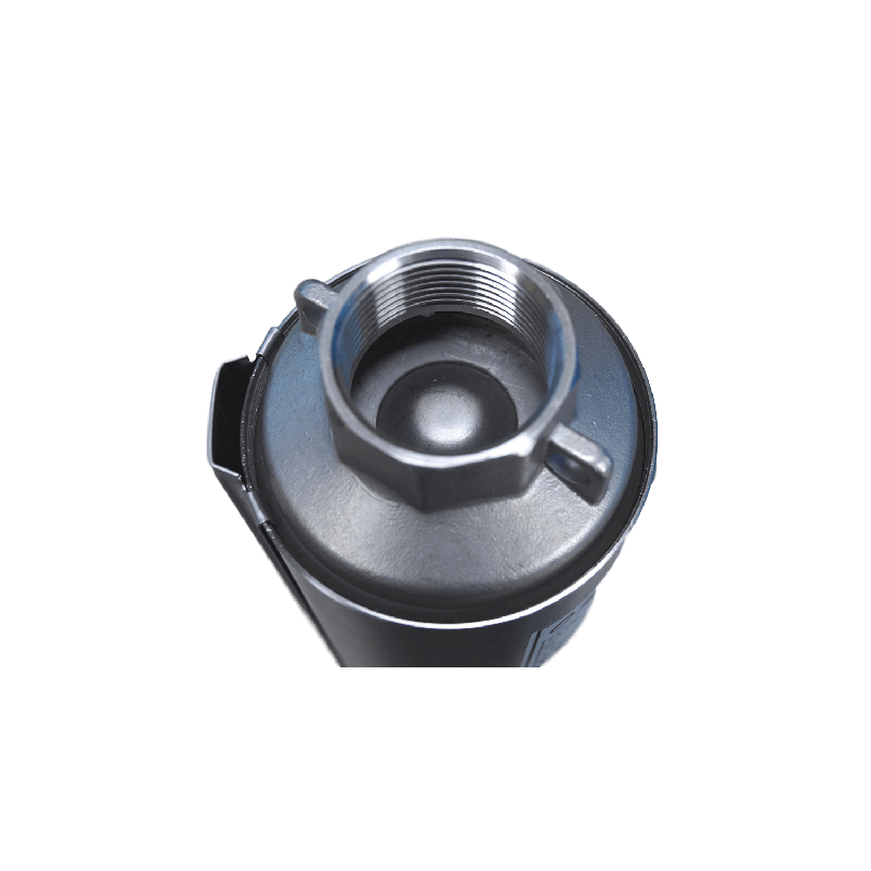 Pompe immergée pour alimentation de pompe à chaleur