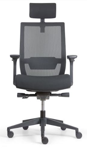 Fauteuil ergonomique ergo_0