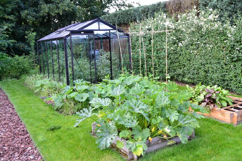 R205h Retro (noir) - Serre de jardin à parois droites en aluminium avec verre sécurit 4mm et embase autoportante_4