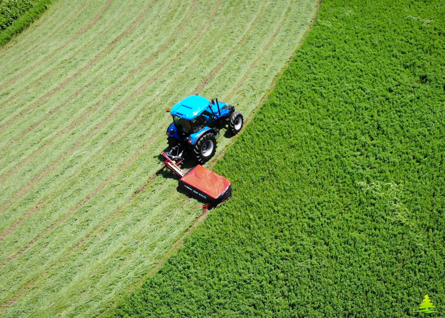 Faucheuse homologuée CE avec barre de coupe renforcée