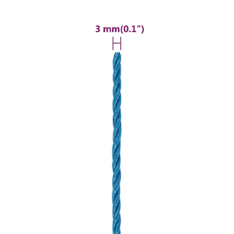 Vidaxl corde de travail bleu 3 mm 100 m polypropylène 152959_4