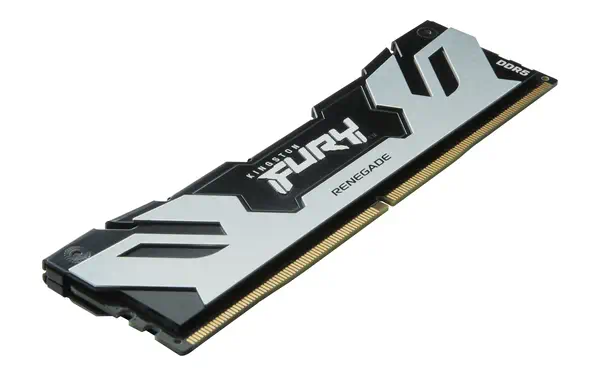 DIMM DDR5 CL32 32 Go 6 400 MT/s (kit de 2) FURY Renegade Argent_4