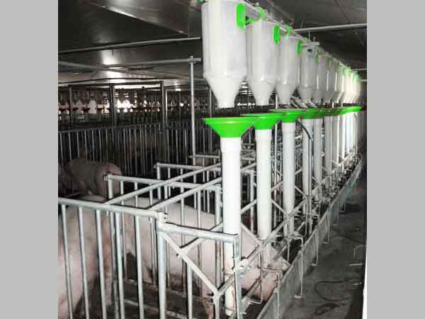 Matériels et installations de distribution d'aliments en élevage - aménagement des salles et distribution par vis souple, chaîne à pastille et bi-phase_4