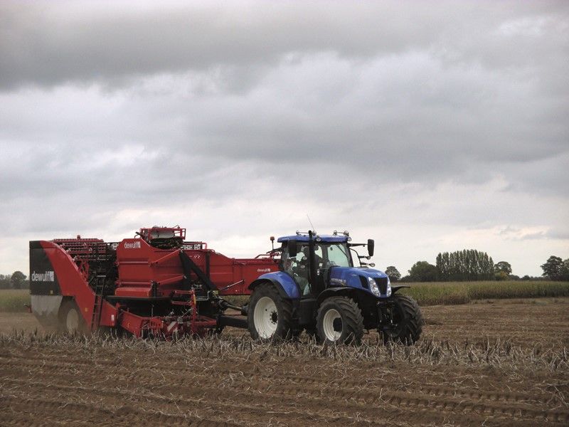 Arracheuse par tamisage Torro - Dewulf BV - trémie 6 t - largeur 3370 mm - 2 rangs - Inclino Master®_4