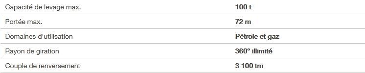 Mtc 3100 grue portuaire offshore - liebherr - capacité de levage max 100t_4